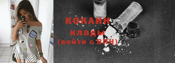гидра Вяземский