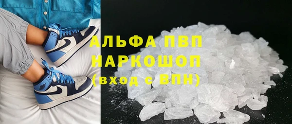 гидра Вяземский