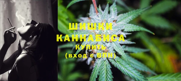 гидра Вяземский