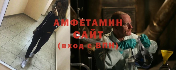 гидра Вяземский