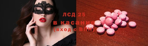 гидра Вяземский