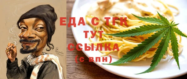 гидра Вяземский