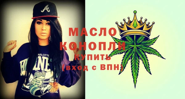 гидра Вяземский
