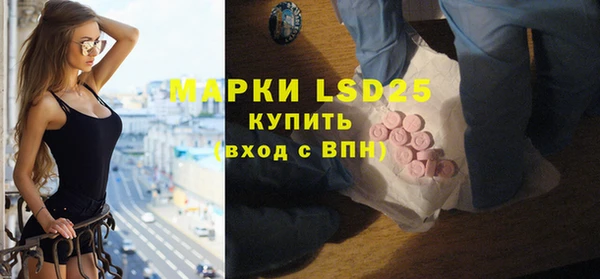 гидра Вяземский