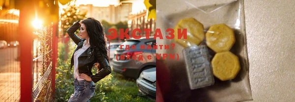 гидра Вяземский