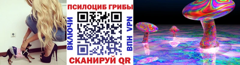 Купить Киреевск Галлюциногенные грибы Cubensis